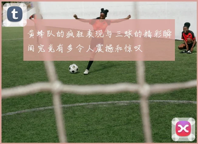 黄蜂队的疯狂表现与三球的精彩瞬间究竟有多令人震撼和惊叹